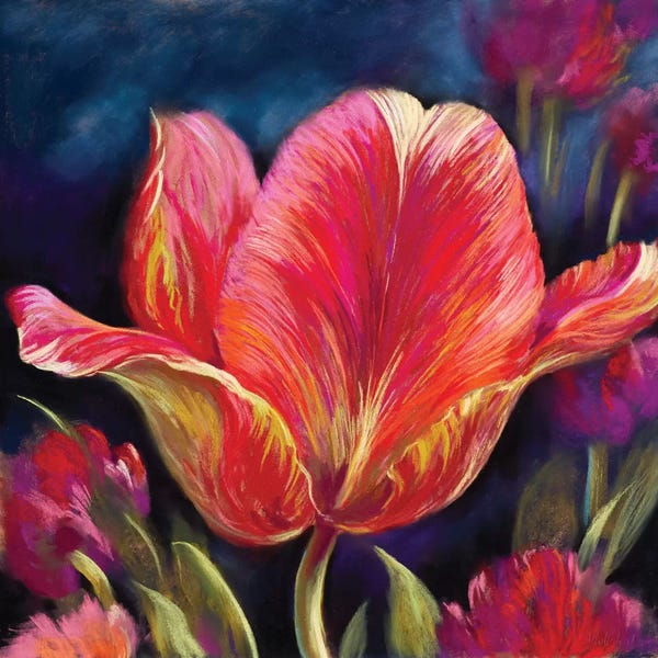Tulips: Charisma by Nel Whatmore