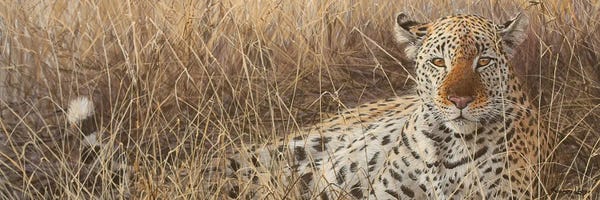 John Seerey-Lester: Eye of the Hunter by John Seerey-Lester