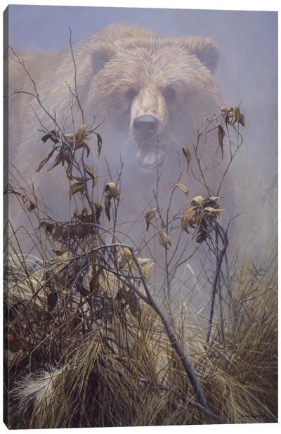 Grizzly Impact Canvas Art Print - Grizzly Bear Art