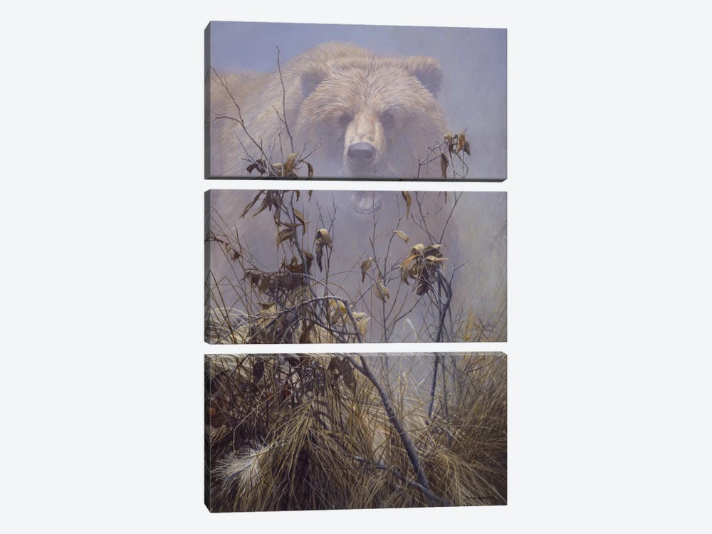 Grizzly Impact by John Seerey-Lester 3-piece Canvas Art Print
