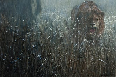 Growl in the Rain by John Seerey-Lester art print