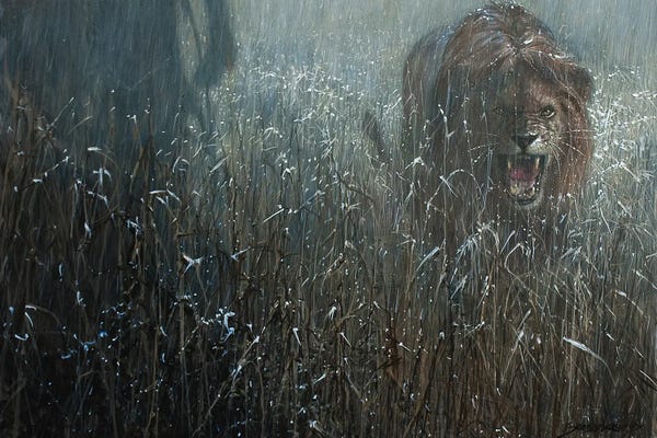 John Seerey-Lester: Growl in the Rain by John Seerey-Lester