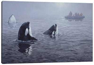 In Their Presence Canvas Art Print - Orca Whale Art