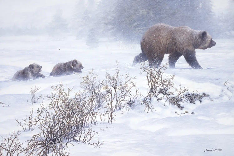 Keeping Pace - Grizzly with Cubs