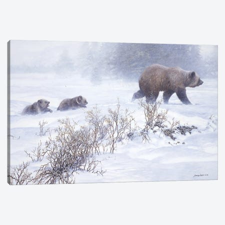 Keeping Pace - Grizzly with Cubs Canvas Print #NYL15} by John Seerey-Lester Canvas Print