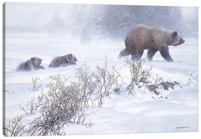 Keeping Pace - Grizzly with Cubs Canvas Art Print - Grizzly Bear Art