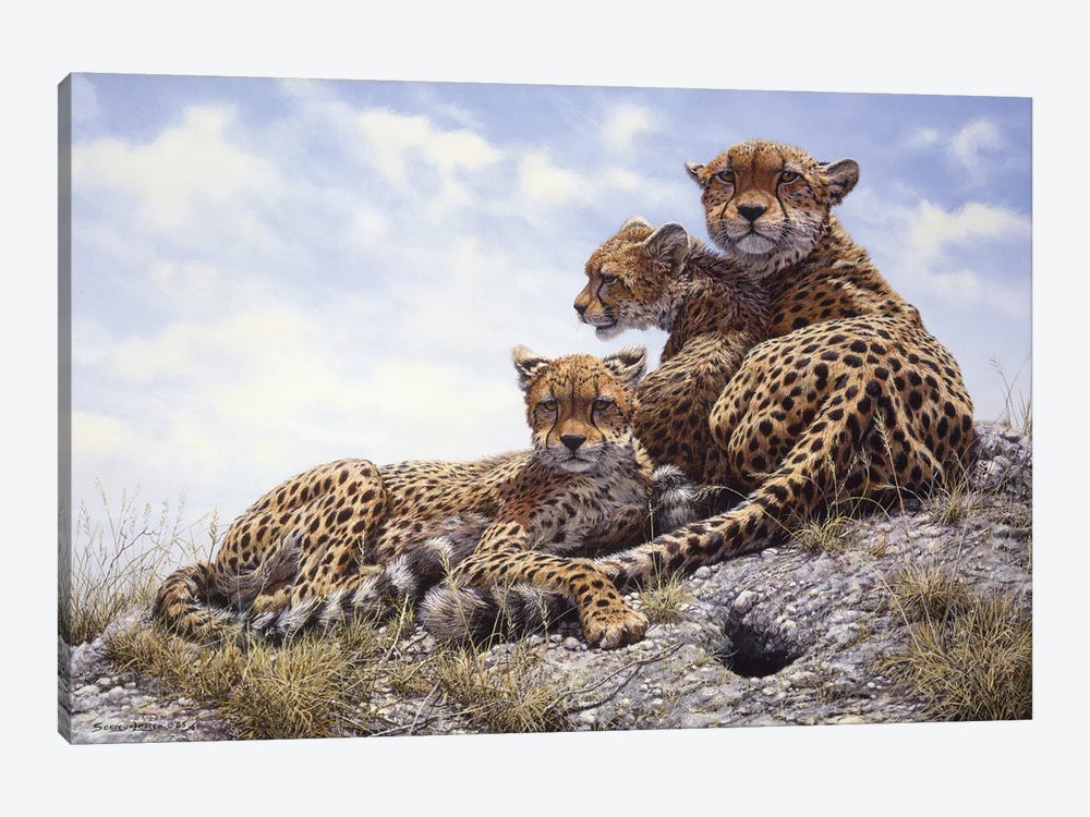 Kenyan Family - Cheetahs by John Seerey-Lester 1-piece Canvas Print