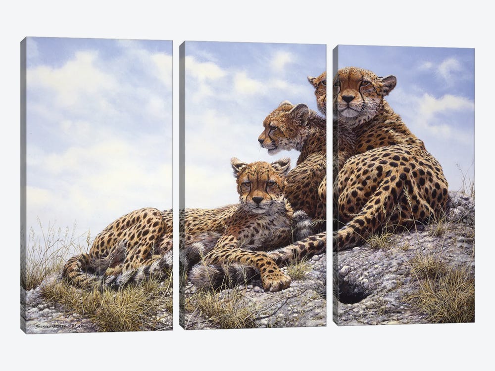 Kenyan Family - Cheetahs by John Seerey-Lester 3-piece Art Print