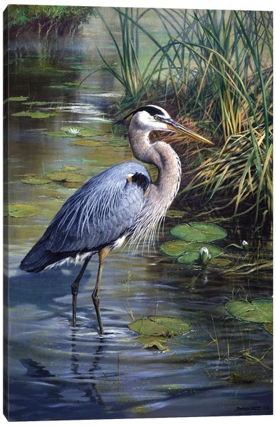 Lone Fisherman - Great Blue Heron Canvas Art Print - Rustic Décor