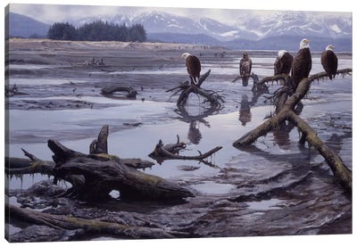 Low Tide - Bald Eagles Canvas Art Print - Eagle Art