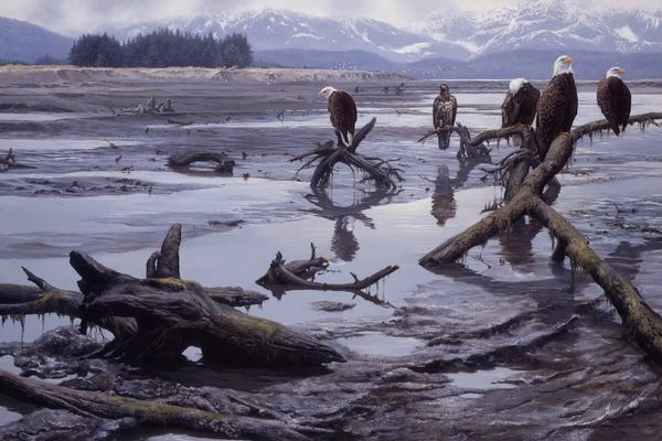 John Seerey-Lester: Low Tide - Bald Eagles by John Seerey-Lester