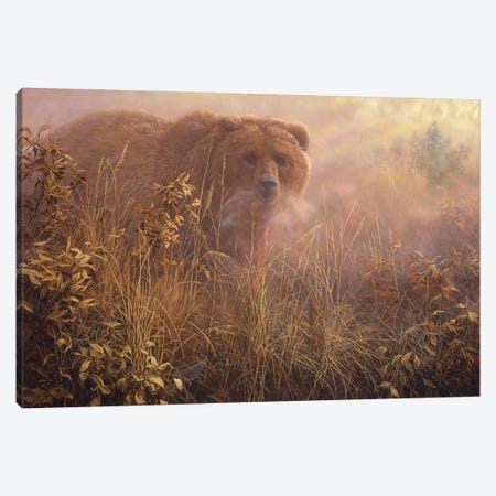 Out of the Mist - Grizzly Canvas Print #NYL19} by John Seerey-Lester Canvas Artwork