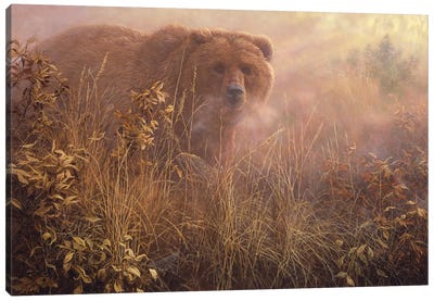 Out of the Mist - Grizzly Canvas Art Print - Brown Art