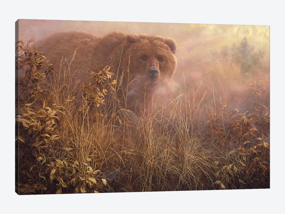 Out of the Mist - Grizzly by John Seerey-Lester 1-piece Canvas Art