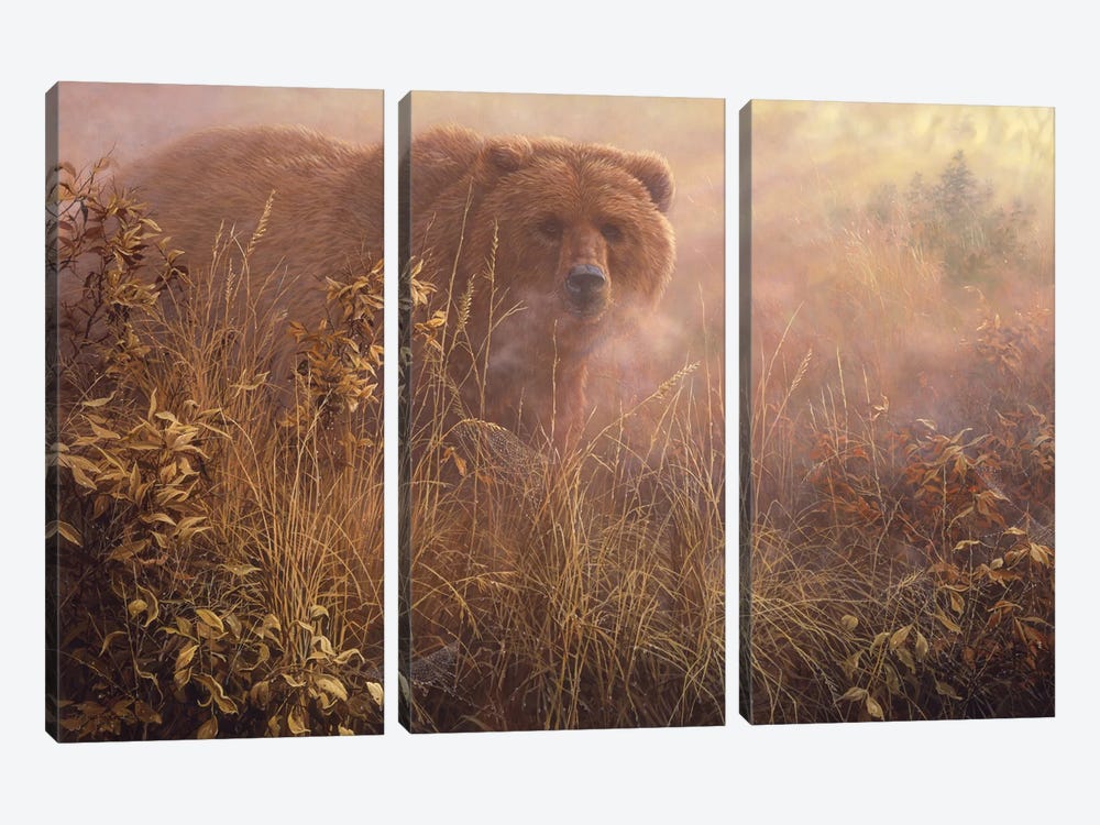 Out of the Mist - Grizzly by John Seerey-Lester 3-piece Canvas Art