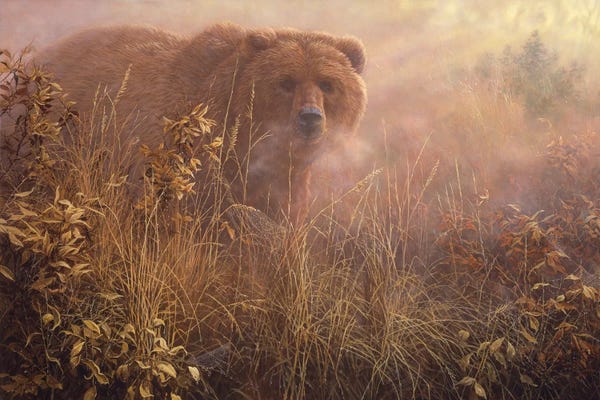 Out of the Mist - Grizzly