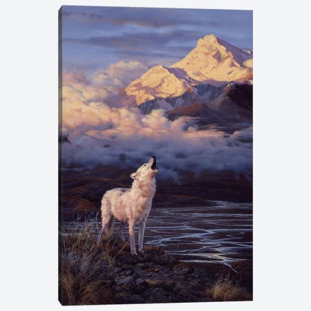 Alpenglow - Arctic Wolf Canvas Print #NYL1} by John Seerey-Lester Canvas Art Print