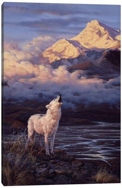 Alpenglow - Arctic Wolf Canvas Art Print - Magical Realism