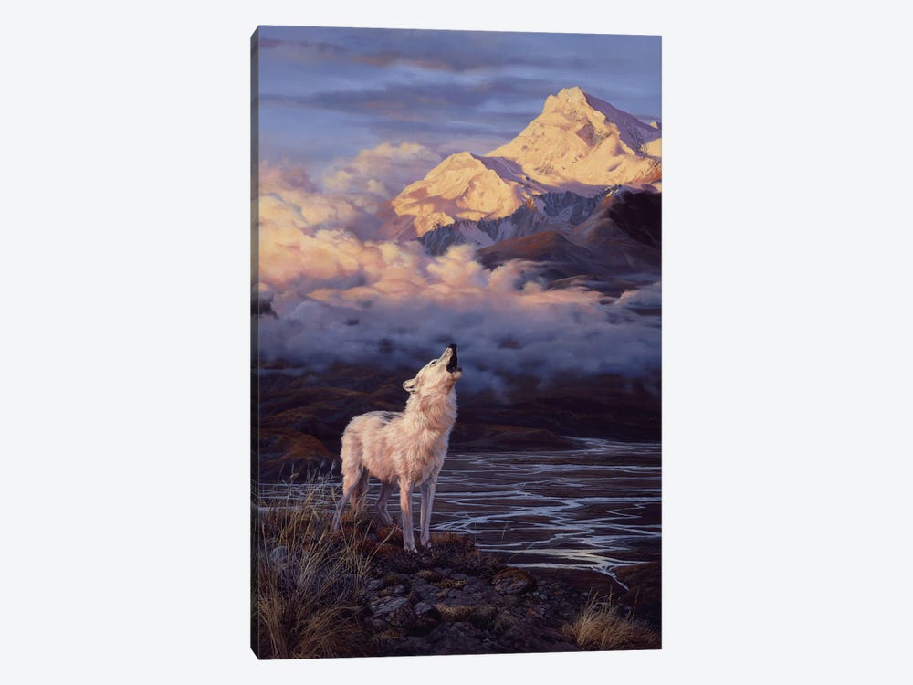 Alpenglow - Arctic Wolf by John Seerey-Lester 1-piece Canvas Wall Art