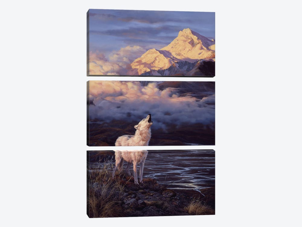 Alpenglow - Arctic Wolf by John Seerey-Lester 3-piece Canvas Wall Art