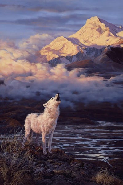John Seerey-Lester: Alpenglow - Arctic Wolf by John Seerey-Lester