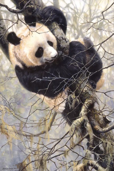 Panda Trilogy - Panda in Tree by John Seerey-Lester art print