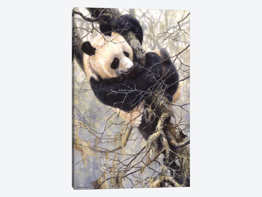 Panda Trilogy - Panda in Tree by John Seerey-Lester 1-piece Canvas Art