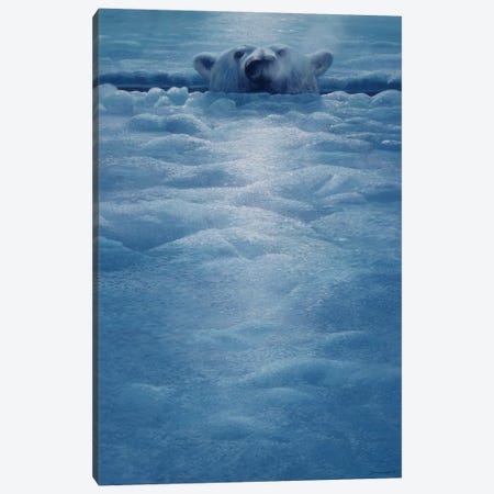 Polar Lookout Canvas Print #NYL21} by John Seerey-Lester Canvas Print