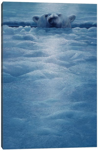 Polar Lookout Canvas Art Print - Emotive Animals