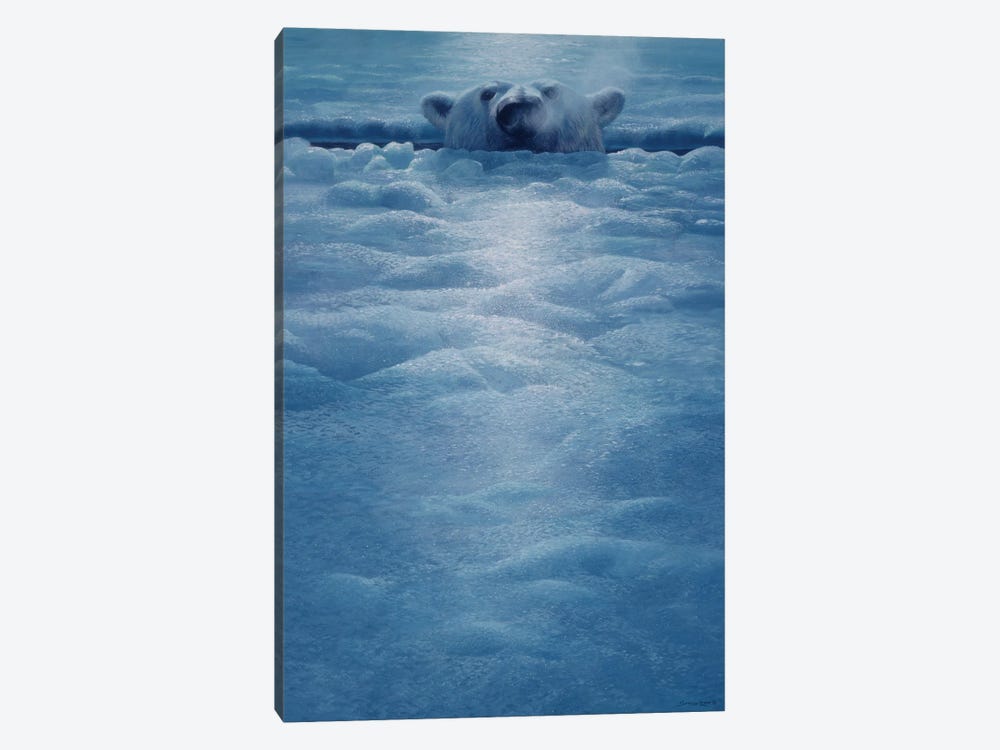Polar Lookout by John Seerey-Lester 1-piece Art Print