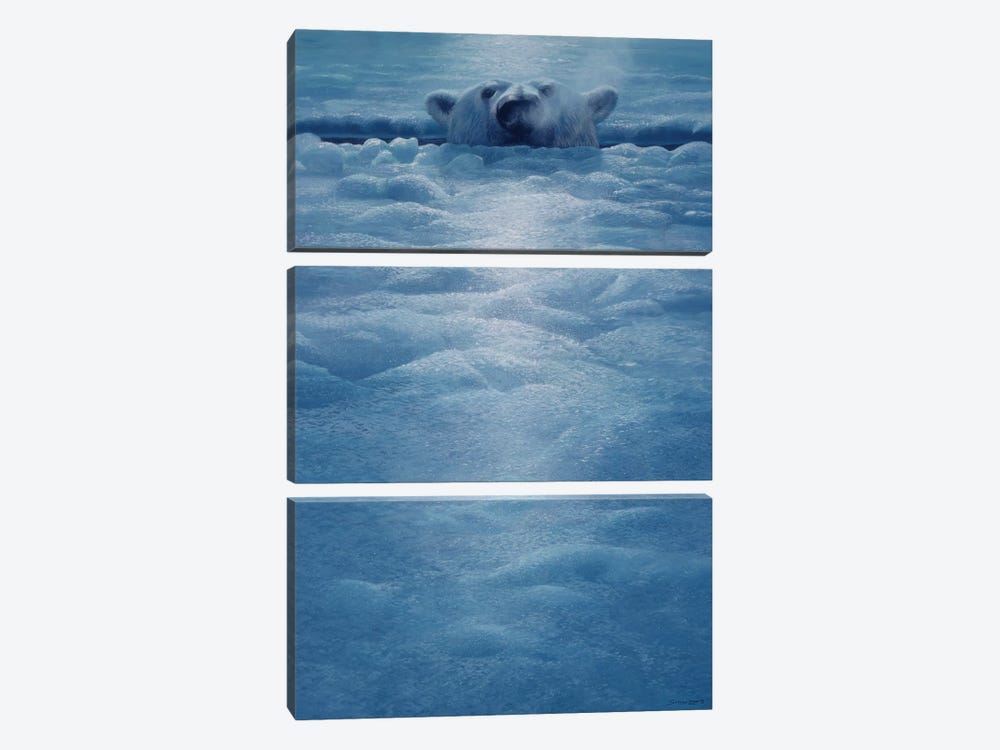 Polar Lookout by John Seerey-Lester 3-piece Canvas Print