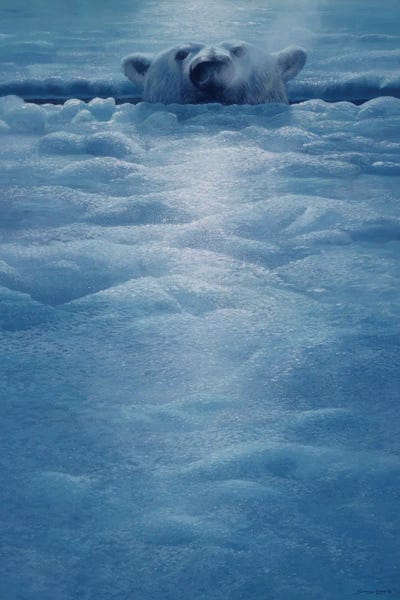 John Seerey-Lester: Polar Lookout by John Seerey-Lester