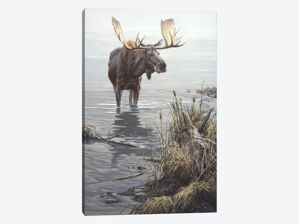 Silent Waters - Moose by John Seerey-Lester 1-piece Canvas Wall Art