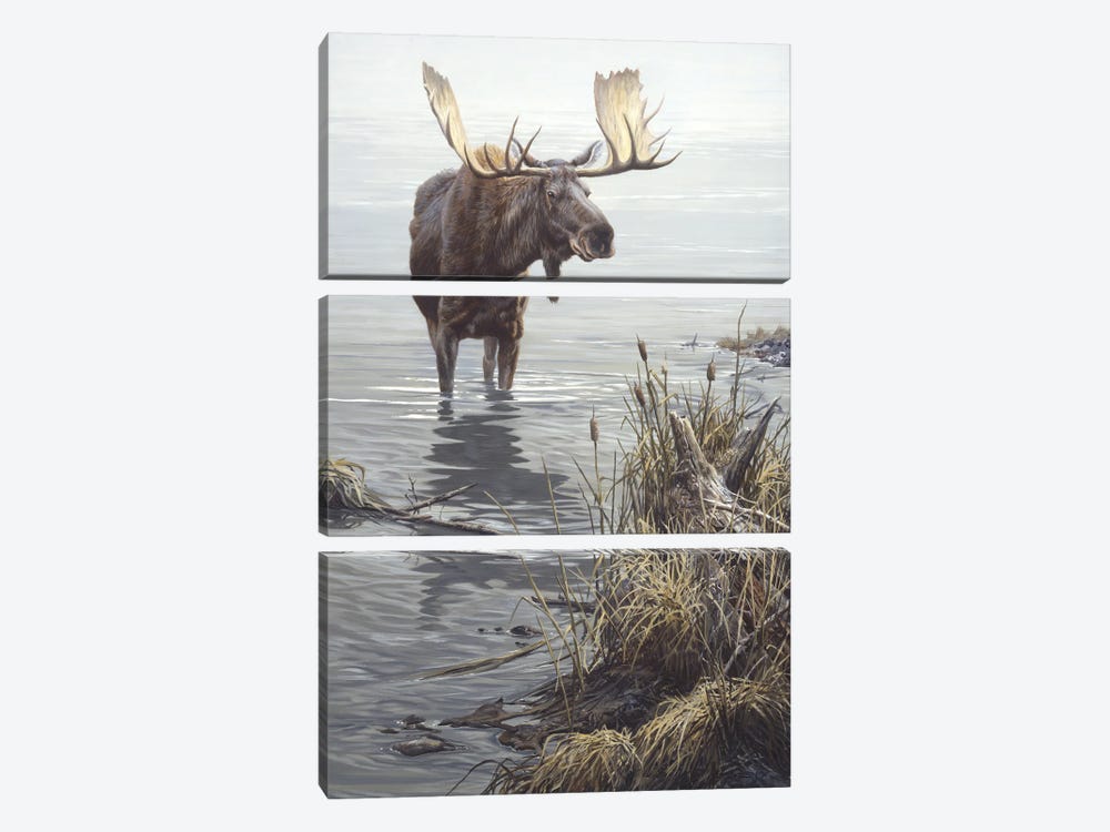Silent Waters - Moose by John Seerey-Lester 3-piece Canvas Art