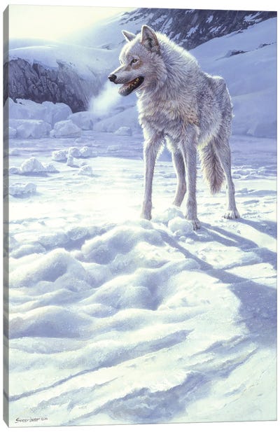 Spirit of the North - White Wolf Canvas Art Print - Perano Art