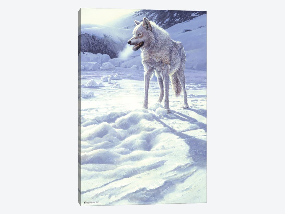 Spirit of the North - White Wolf by John Seerey-Lester 1-piece Canvas Print