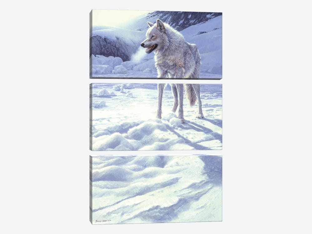 Spirit of the North - White Wolf by John Seerey-Lester 3-piece Canvas Art Print