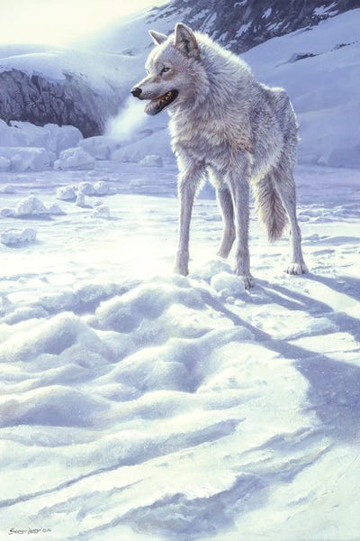John Seerey-Lester: Spirit of the North - White Wolf by John Seerey-Lester