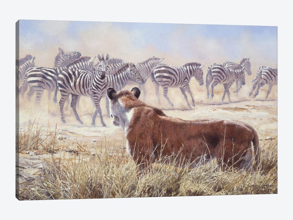 Spooked - Lion and Zebras by John Seerey-Lester 1-piece Canvas Artwork
