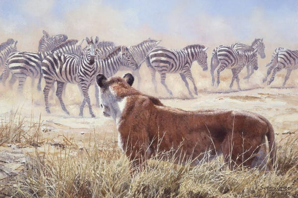 John Seerey-Lester: Spooked - Lion and Zebras by John Seerey-Lester
