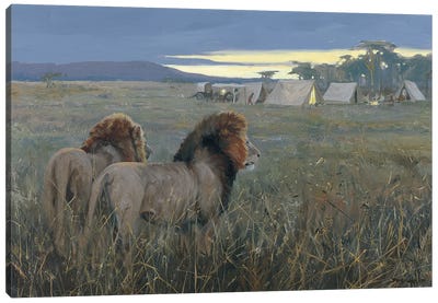 Tanganyika Twilight Canvas Art Print - Fine Art Safari