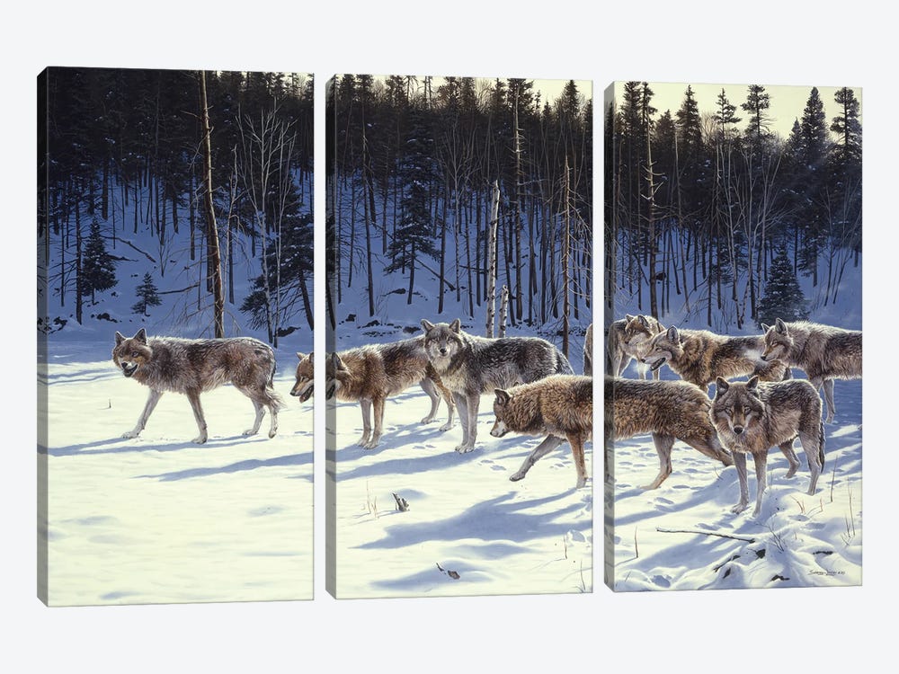 The Gathering by John Seerey-Lester 3-piece Canvas Print