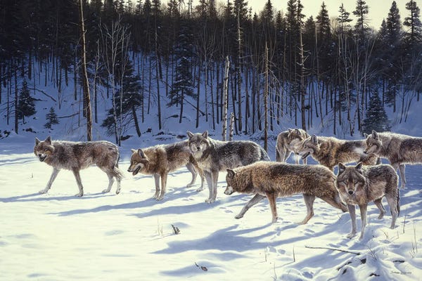 John Seerey-Lester: The Gathering by John Seerey-Lester