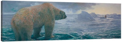 Arctic Storm Canvas Art Print