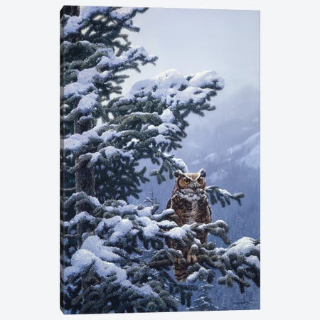 Winter Vigil - Great Horned Owl Canvas Print #NYL35} by John Seerey-Lester Canvas Art Print