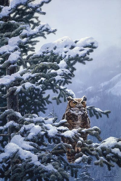 Pine Trees: Winter Vigil - Great Horned Owl by John Seerey-Lester