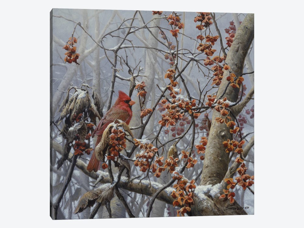 Bittersweet Winter - Cardinal by John Seerey-Lester 1-piece Canvas Art