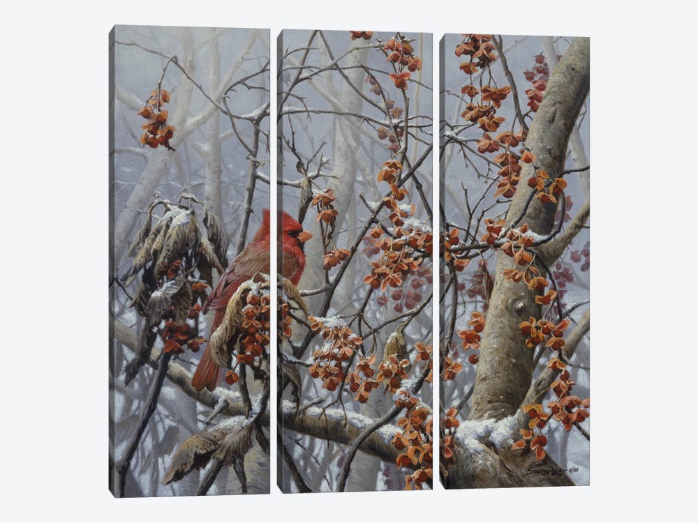Bittersweet Winter - Cardinal by John Seerey-Lester 3-piece Canvas Artwork