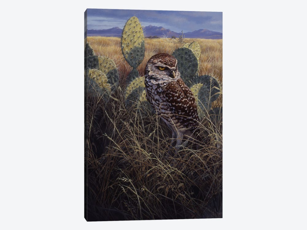 Burrowing Owl by John Seerey-Lester 1-piece Art Print