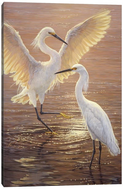 Evening Duet - Snowy Egrets Canvas Art Print - Egret Art